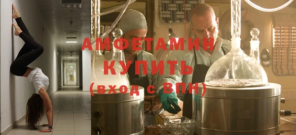 крисы Абаза
