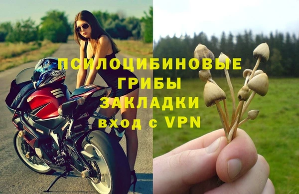 спиды Абдулино