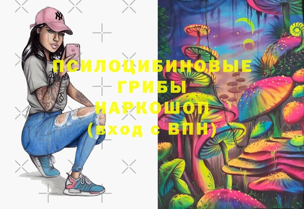 дурь Кодинск