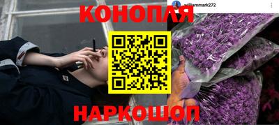 ПСИЛОЦИБИНОВЫЕ ГРИБЫ Кандалакша